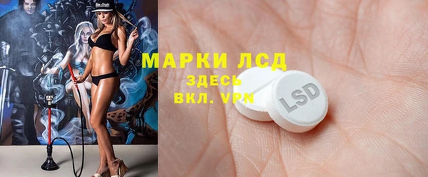 гашик Пересвет