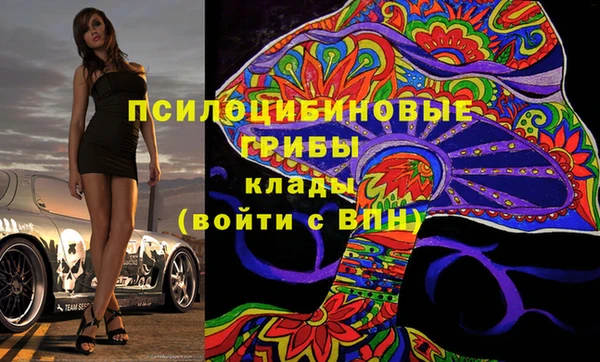 гашик Пересвет