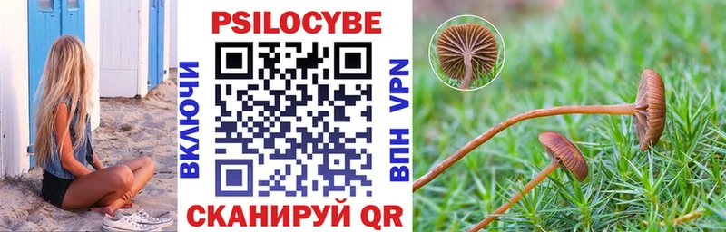 darknet как зайти  Нариманов  Галлюциногенные грибы Cubensis 